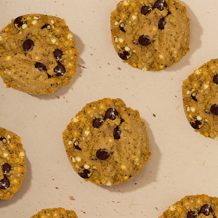 ChipMonk Baking | GLP-1 Chocolate Chip Pecan Cookie