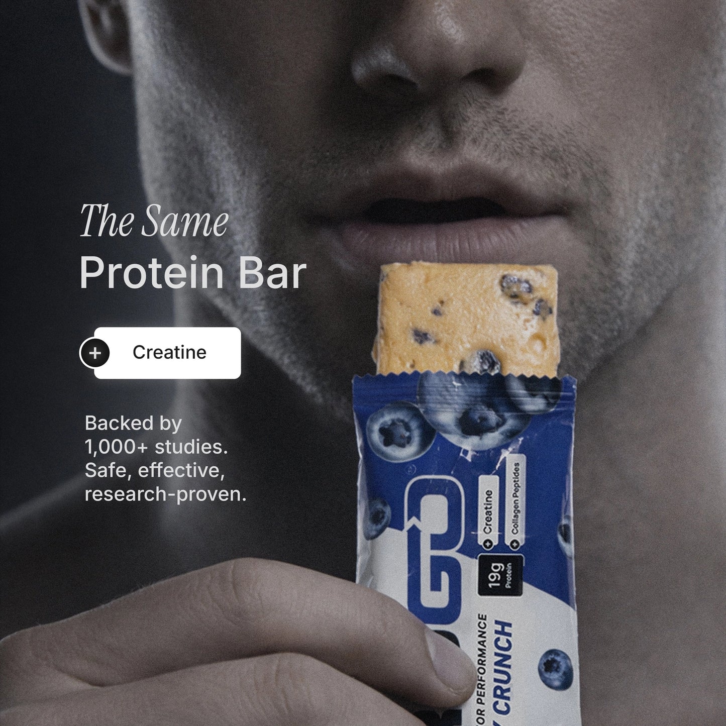 ProGo Nutrition | Blueberry Crunch Protein Bar
