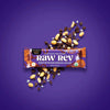 Raw Rev | Peanut Butter Dark Chocolate & Sea Salt Vegan Protein Bar | 1.6oz