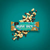 Raw Rev | Chocolate Chip Cookie Dough Vegan Protein Bar | 1.6oz