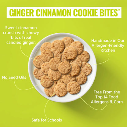 Every Body Eat Ginger Cinnamon Cookie Bites 1.1oz