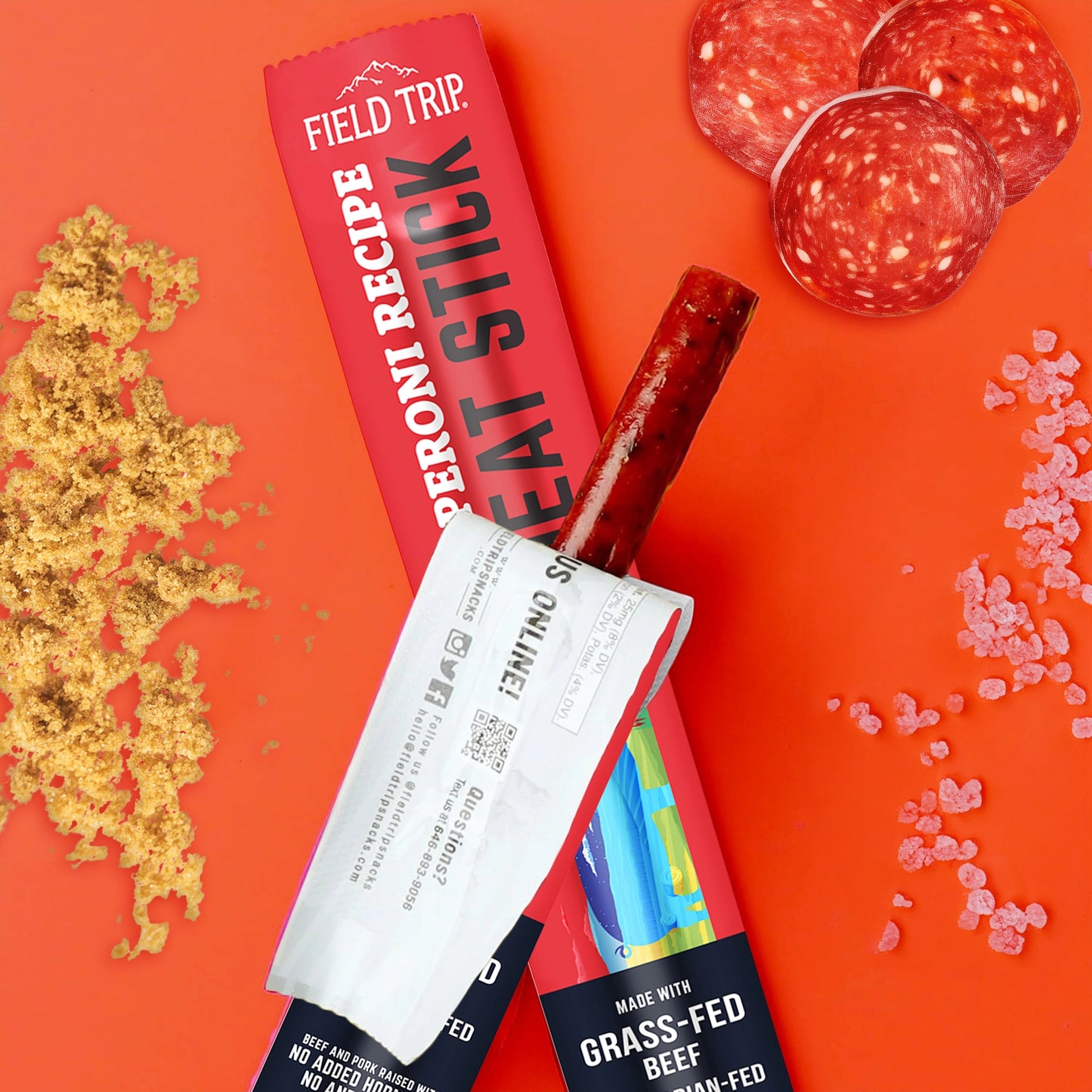 Field Trip Pepperoni Recipe Meat Stick (0.5oz) Gluten Free